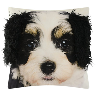 Housse de coussin décoratif pour chien 18 po x 18 po