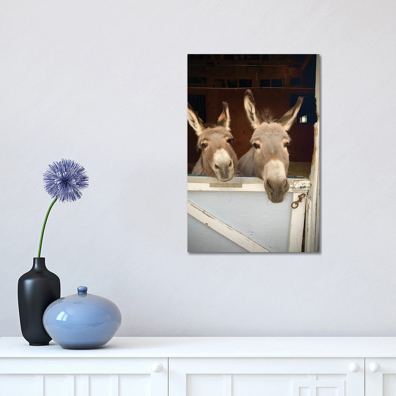 Pair Of Donkeys by Susan Vizvary - Print on Canvas, 45.72cm H x 30.48cm W x 1.91cm D, Wrapped Canvas