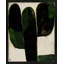 Succulent #1 Print by StudioM-227991696-227991717
