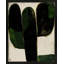 Succulent #1 Print by StudioM-227991708-227991717