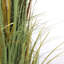 Faux Pampas Grass Grass in Pot-93756714