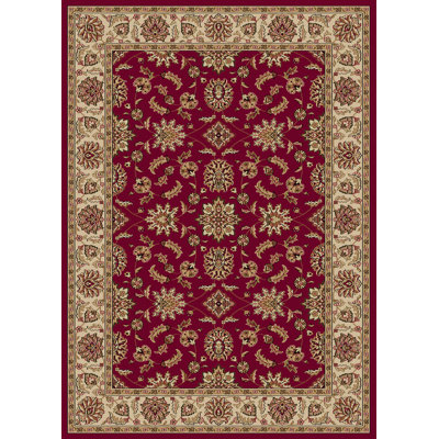 Oriental Indoor Rug
