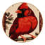  Tapis lavable Northern Cardinal Birds-60224969