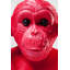 Money Box Monkey Kikazaru Red