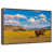 Floating Frame Walnut selected