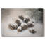 Silver Serenade of Eve-Premium Gallery Wrapped Canvas-1314611027