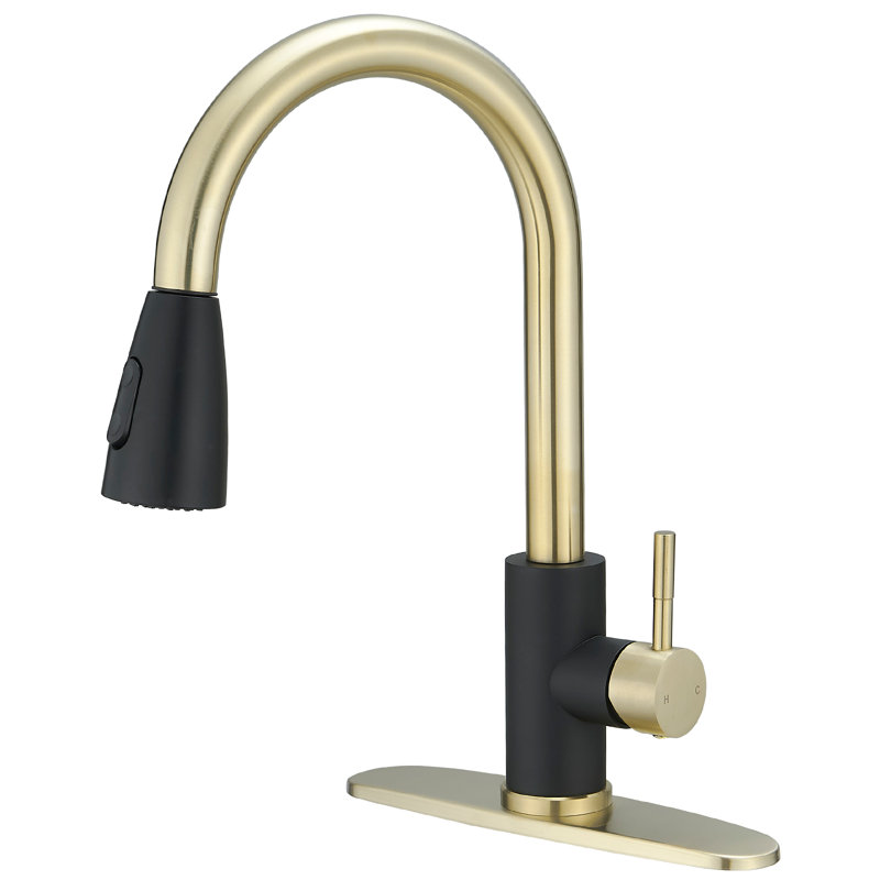 VIBRANTBATH Pull Out Kitchen Faucet, Black/Gold