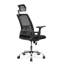 Gianluca Office Chair with Headrest