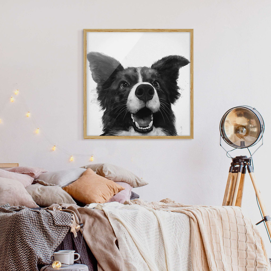 Gerahmter Fotodruck Illustration Dog Border Collie Black White