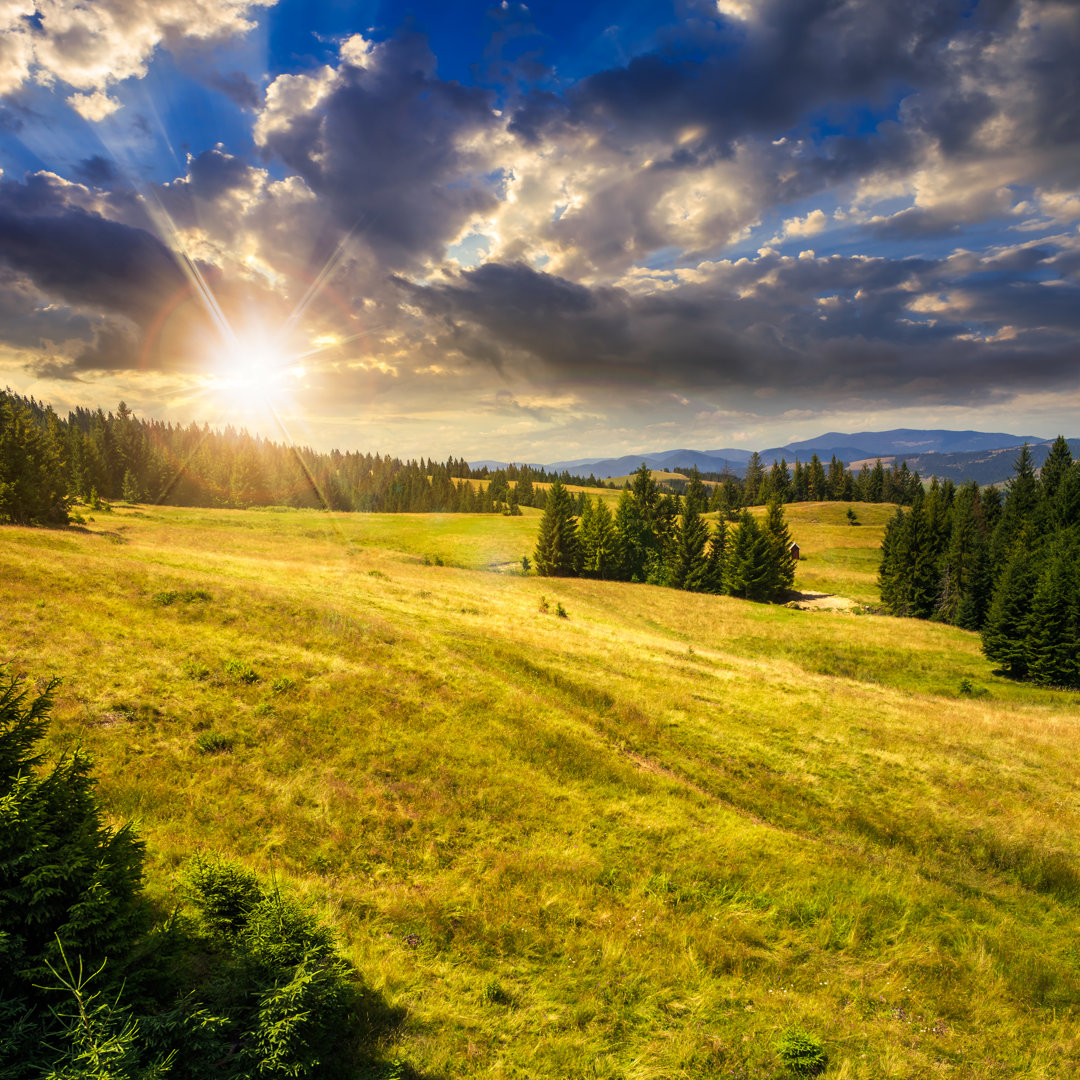 Sommerlandschaft von Mike_Pellinni - Wrapped Canvas Photograph