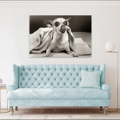 Mexican Chihuahua Dog Under Blanket Licking His Nose Tongue Classic Retro Vintage Dog Wall Art