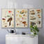 Champignon X-91887171-91887168
