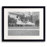 Trees Along Sidewalk (Downtown - San Francisco, CA) Print by Ben Swire