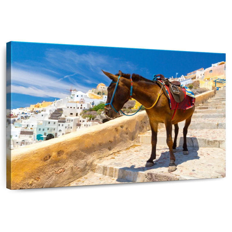 «Brampt Donkey» à Santorin, H 30 po x l 45 po
