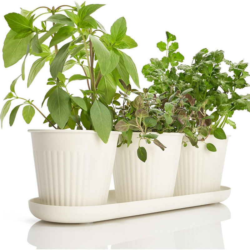 Ensemble de 3 pots de fleurs pour l'intérieur Beautiful Herb