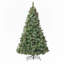 Arbres de noël