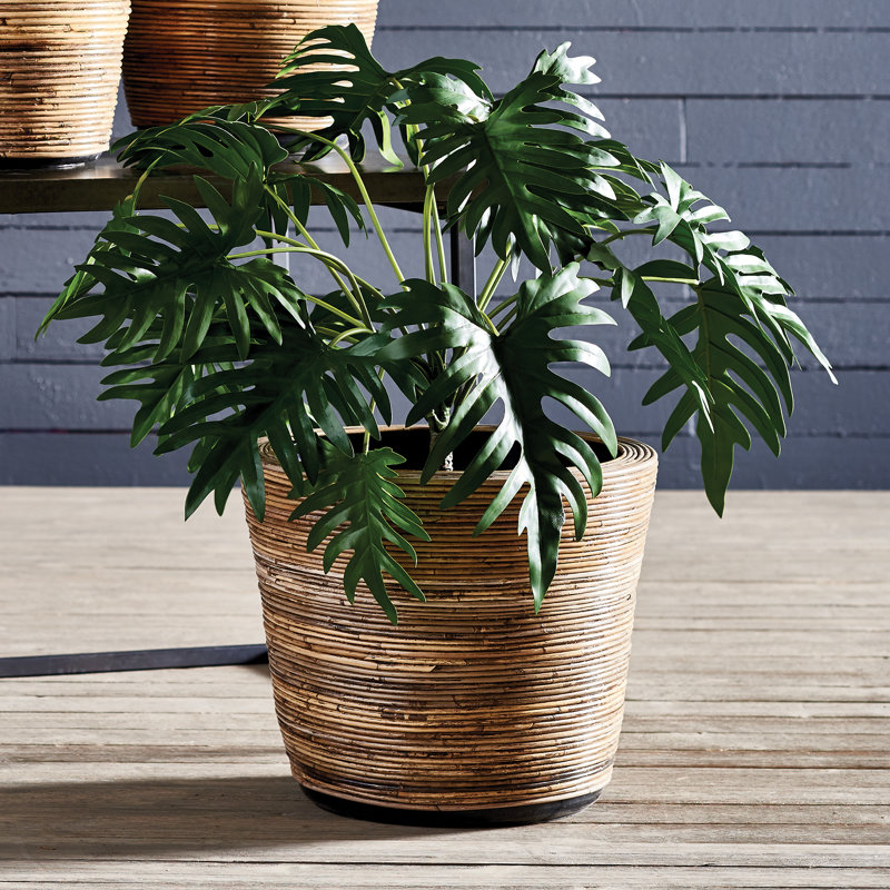 Wrapped Dry Basket Planter 17.75", 20.75"H x 20.75"W x 17.5"D