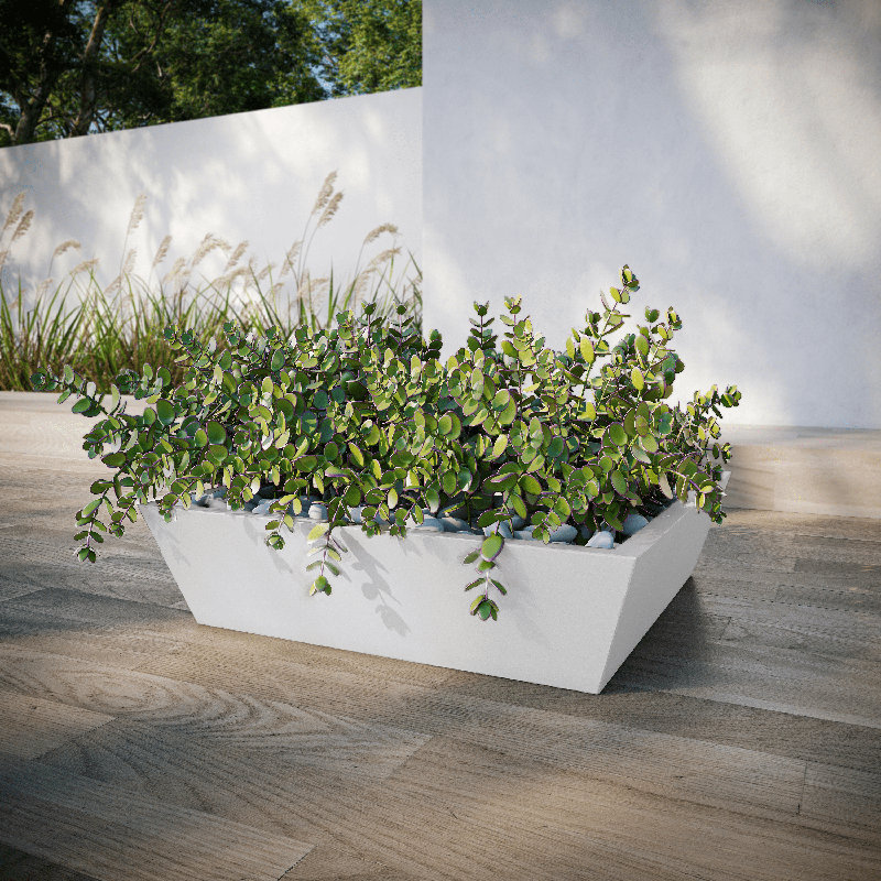 Newport Shallow Concrete Planter , White, 6" H x 24" W x 24" D