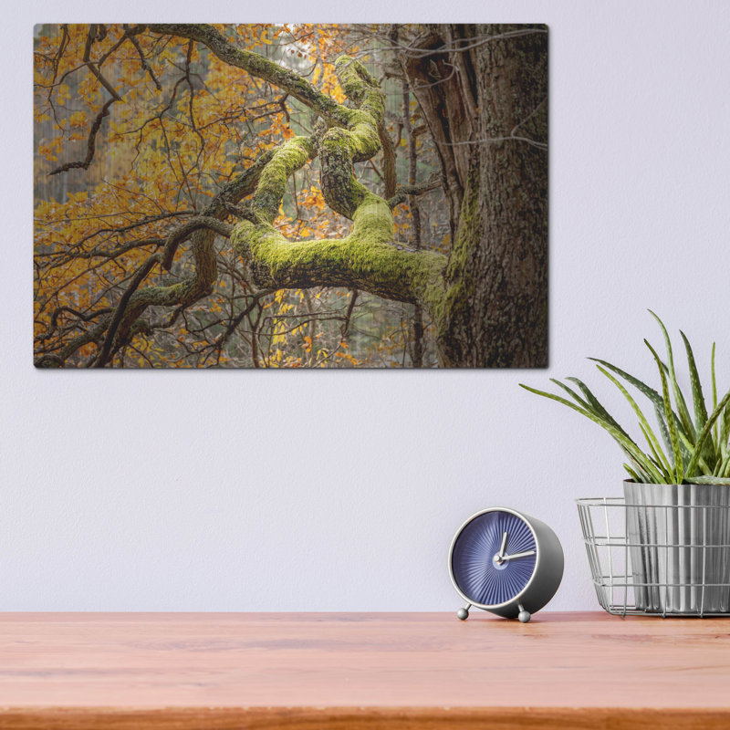 «Reaching Autumn Branch» par Nicklas Gustafsson