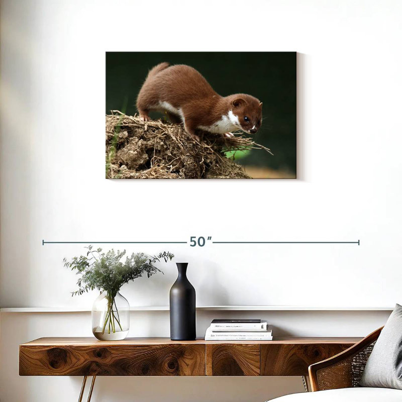 Food Hunting Weasel, 20" H x 30" W