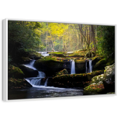 Stream In The Smokies