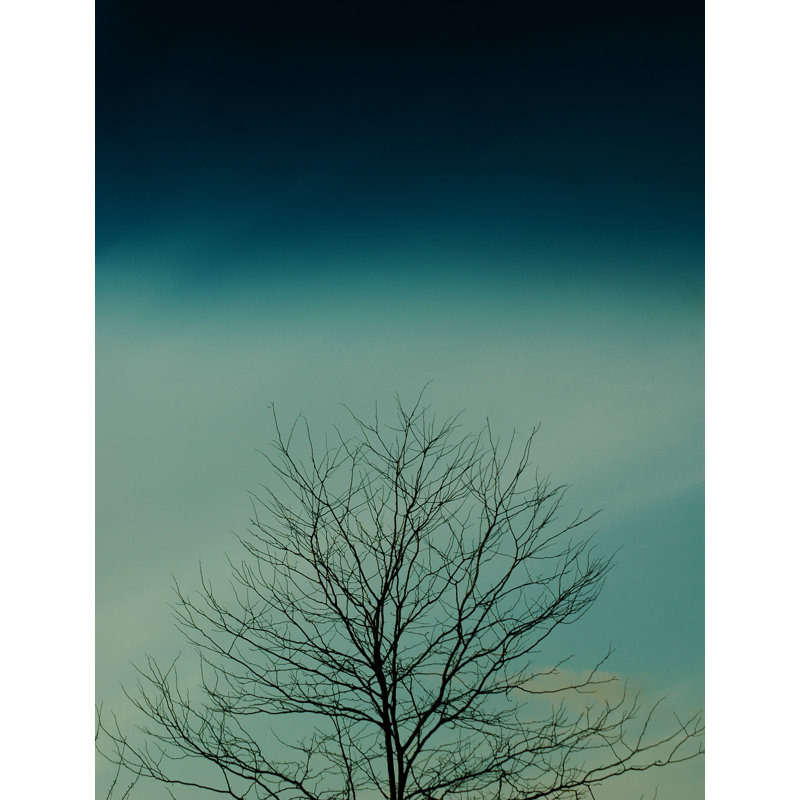 Shades of Blue #1 Framed Print, 32" H x 24" W, Black Framed Canvas