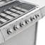 Symple Stuff 6 - Burner Portable Liquid Propane Gas Grill