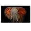African Elephant Print-38104040-107151205
