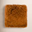 Coussin Winson-110521977-26242814