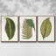 Collection de feuilles I - ensemble de 3 reproductions de photos sur toile-97754133-97754134