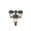 Adriella Anthracite Metal Pathway Light