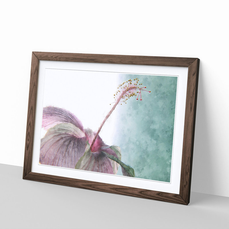 Pink Hibiscus Flower - Picture Frame Graphic Art Print, 24cm H x 33cm W x 2cm D, Walnut