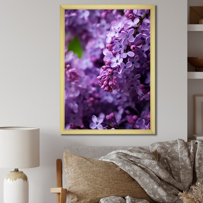 «Lilacs mauves», impression sur toile, H 40 po x l 30 po x P 1,5 po, Encadrement doré