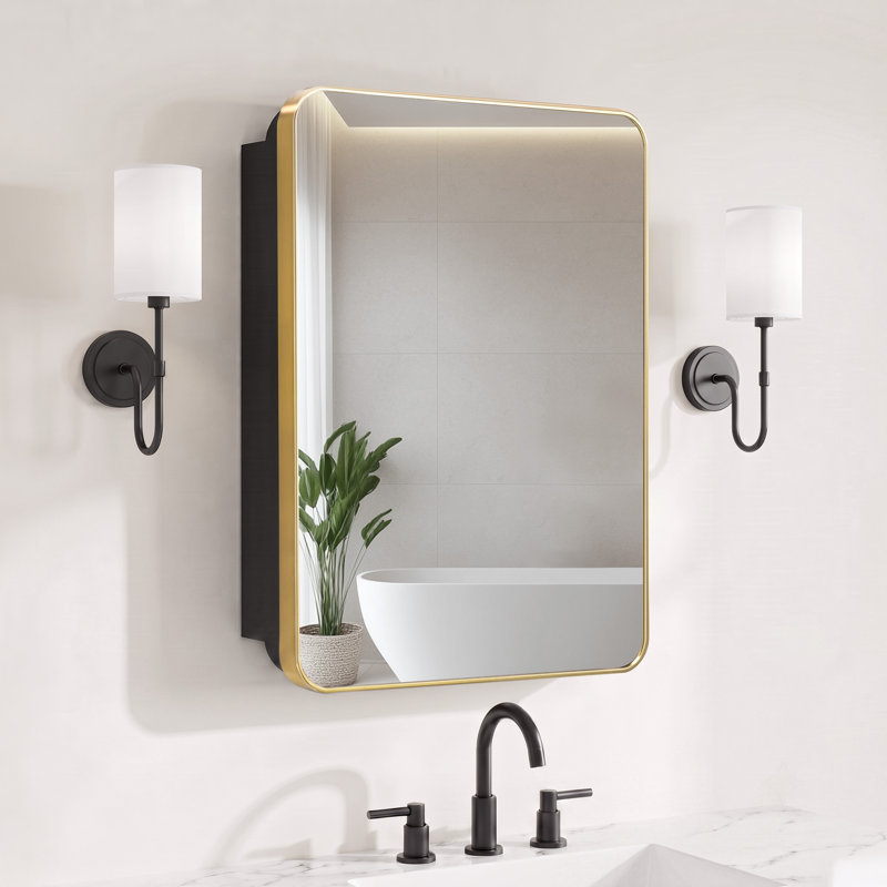 Miroir encastré ou en saillie de 16 po x 20 po avec tablettes ajustables pour armoire à pharmacie, Noir mat