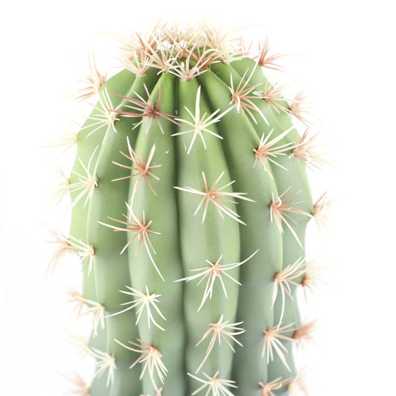 Cactus artificiel H 29,5 po x l 10 po