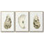 «Neutral Oyster Study I», ensemble de 3 toiles encadrées-97708781-97708783