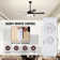Layza Ceiling Fan with Light Kit