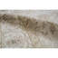 Ziegler Wool Oriental Area Rug