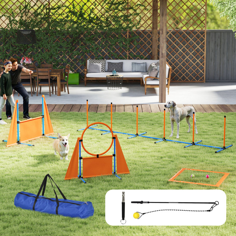 69cm H Dog Agility