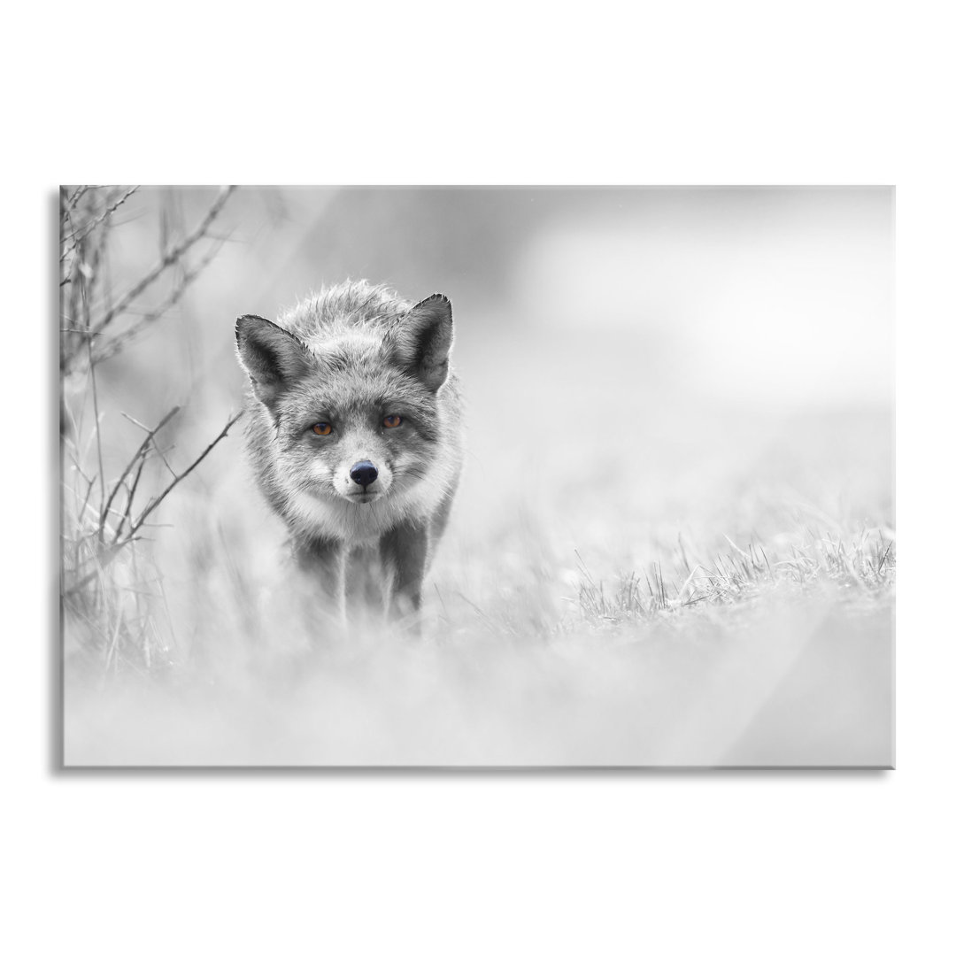 Glasbild Hübscher schleichender Fuchs