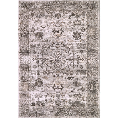 Floral Area Rug in Grey/Beige