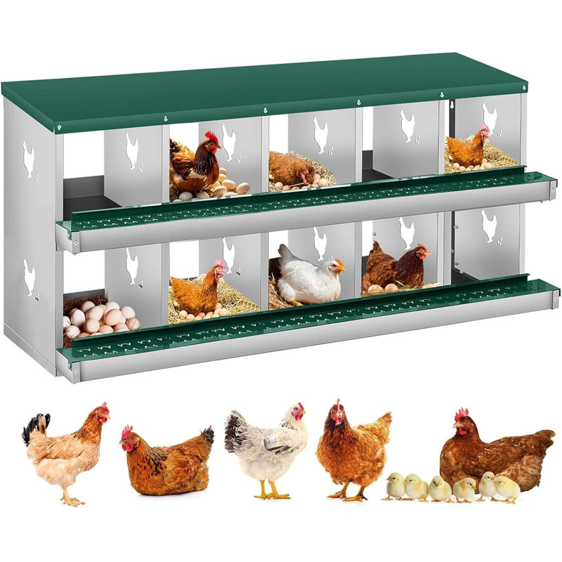 Boîte de nidification pour poulets, boîte de nidification pour poulets à 10 compartiments, boîte à œufs de poule en acier à deux niveaux avec grands trous ventilés, fixation murale pour faciliter la collecte des œufs