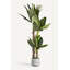 Banana Faux Plant