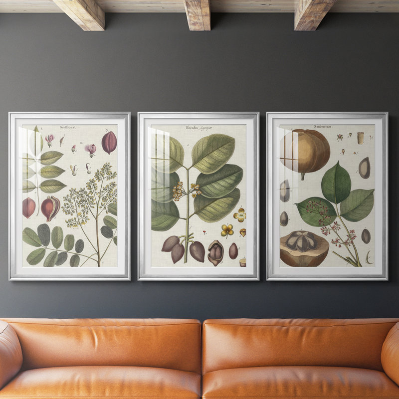 Exotic Botanique I - reproduction sur mesure encadrée de qualité supérieure - 3 pièces, Argent argent, H 19 po x l 27 po