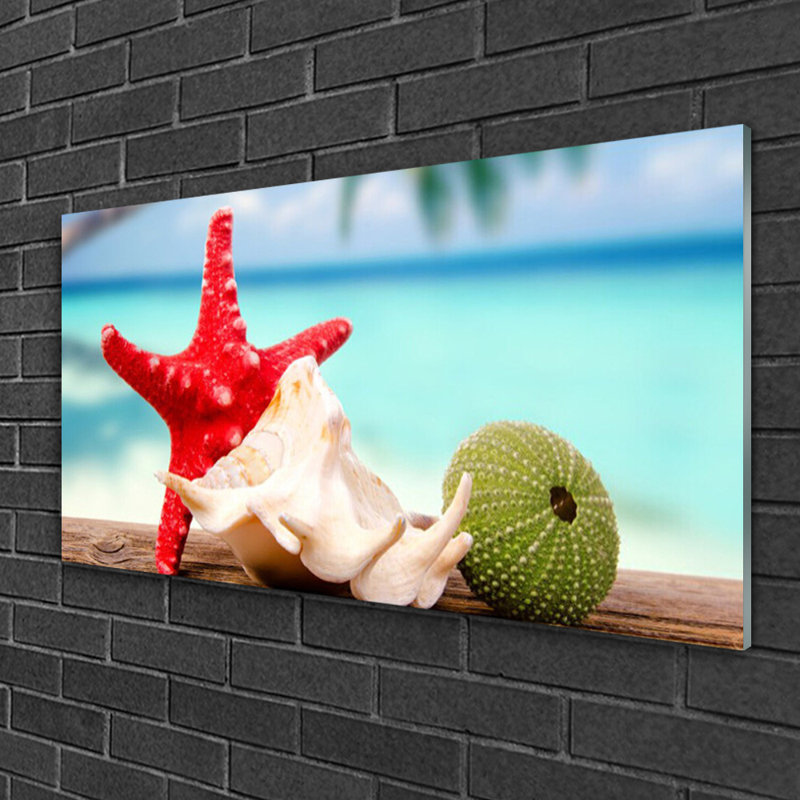Glass Print Wall Art 100X50cm Image Printed On Glass Decorative Wall Picture Behind Toughened / Tempered Safety Real Glass For Kitchen & Living Room Theme: Seashell Shellfish Art