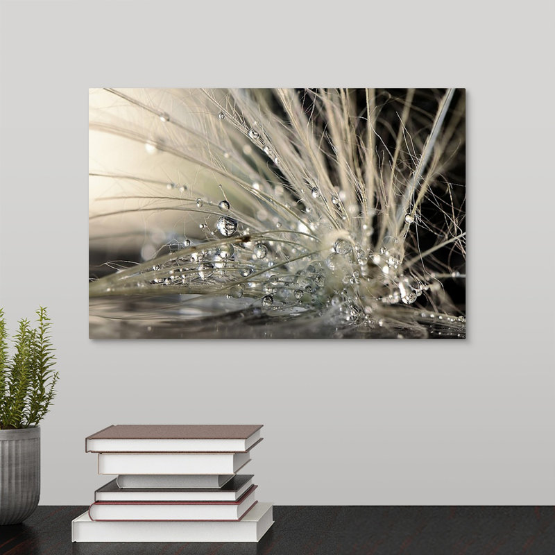 Straub " Pearls " by Maryam Zahirimehr, Wrapped Canvas, No Frame, 16" H x 24" W