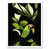 White Framed Paper