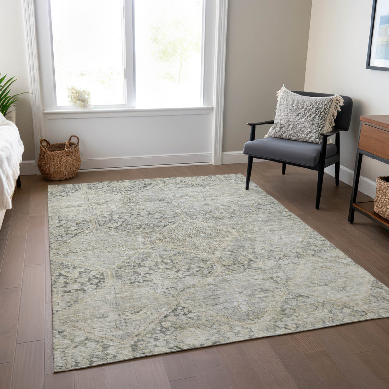 Machine Washable Indoor/Outdoor Xhevrie Pewter Rug, Rectangle 9' x 12'
