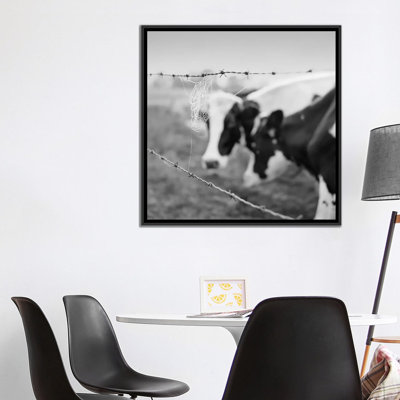 « holstein cow », photographie sur toile