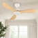 42" 3 - Blade Small Room Ceiling Fan with LED Light and Remote